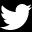 twitter icon
